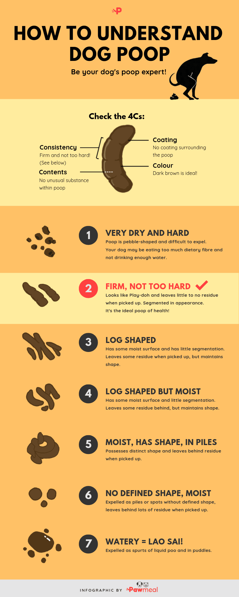 light colored dog poop