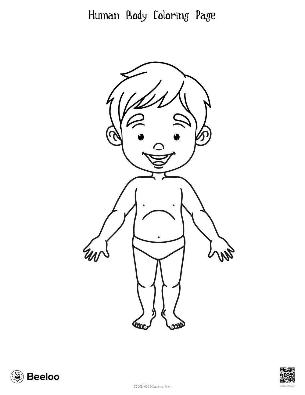Human Body Coloring Page Beeloo Printable Crafts And Activities 