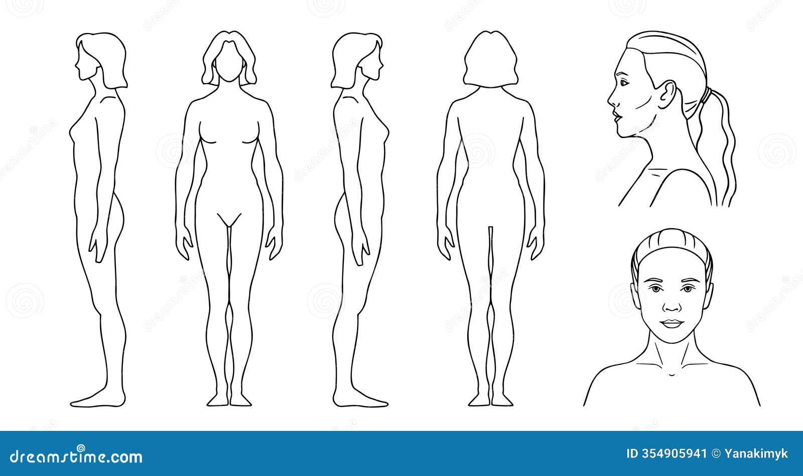 Human Silhouette Woman Outline Template Vector Line Figure Of A Person In Front Back Side Stock Vector Illustration Of Graphic Biology 354905941