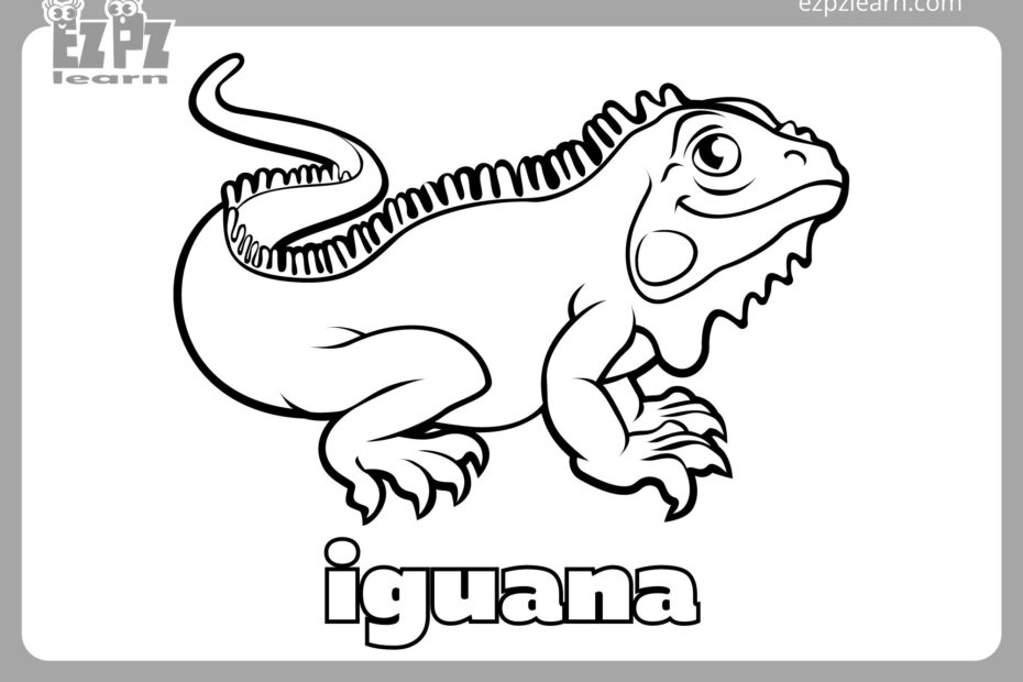 Iguana Coloring Page Ezpzlearn