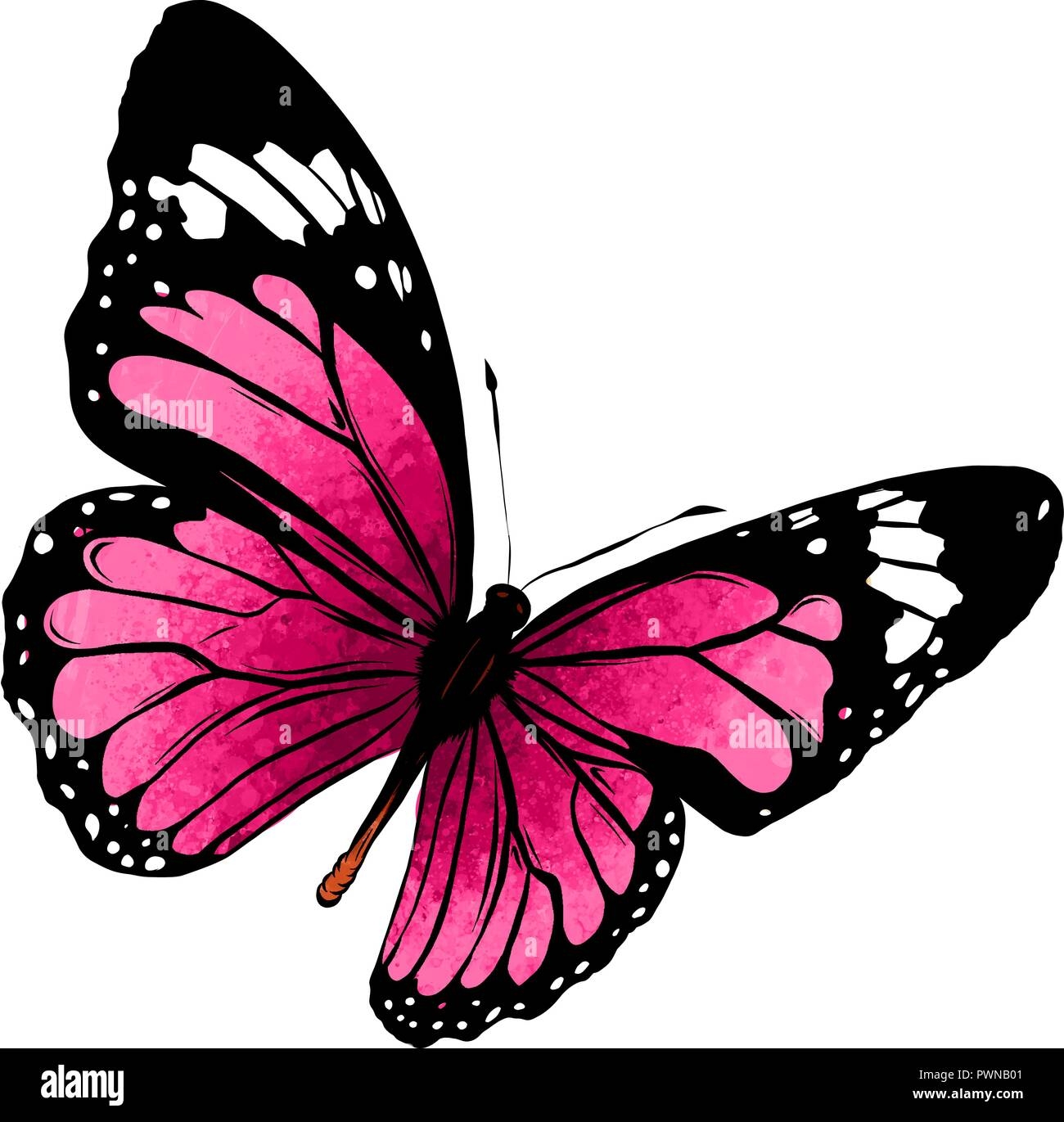 Illustration Of A Beautiful Colorful Butterfly That Flies Stock 