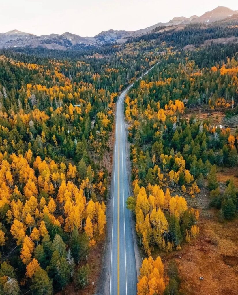 fall colors big bear