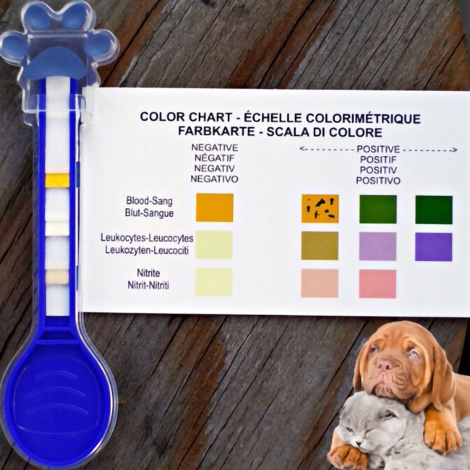 dog uti urine color