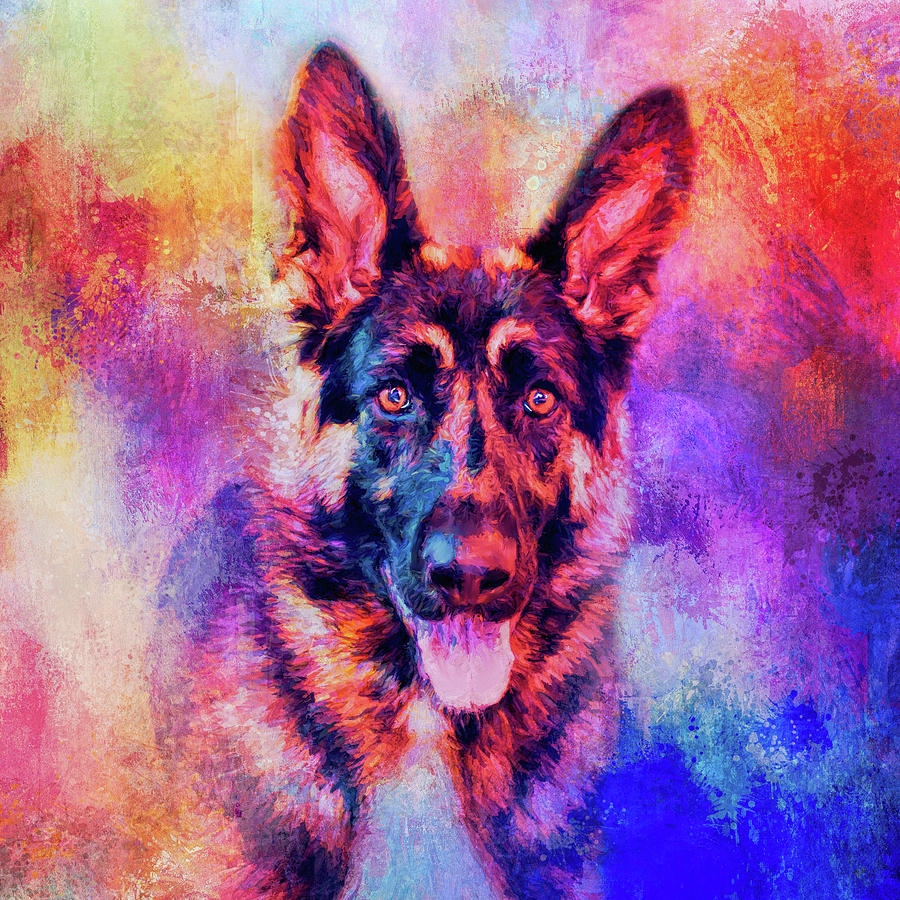 colorful dog