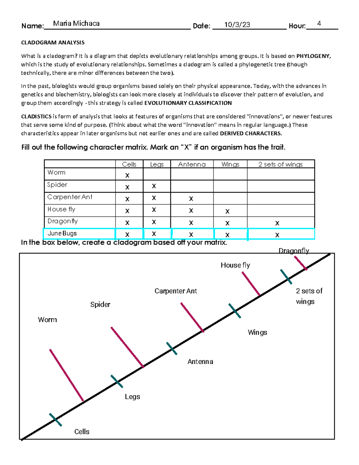 Kami Export Section 4 Cladistics Analysis U0026 Cladogram Exercise 