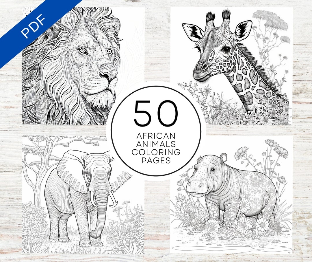 KDP Interior 50 African Animals Coloring Pages 8 5