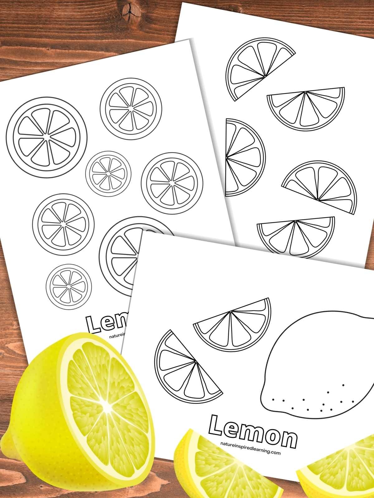 Lemon Coloring Pages Nature Inspired Learning