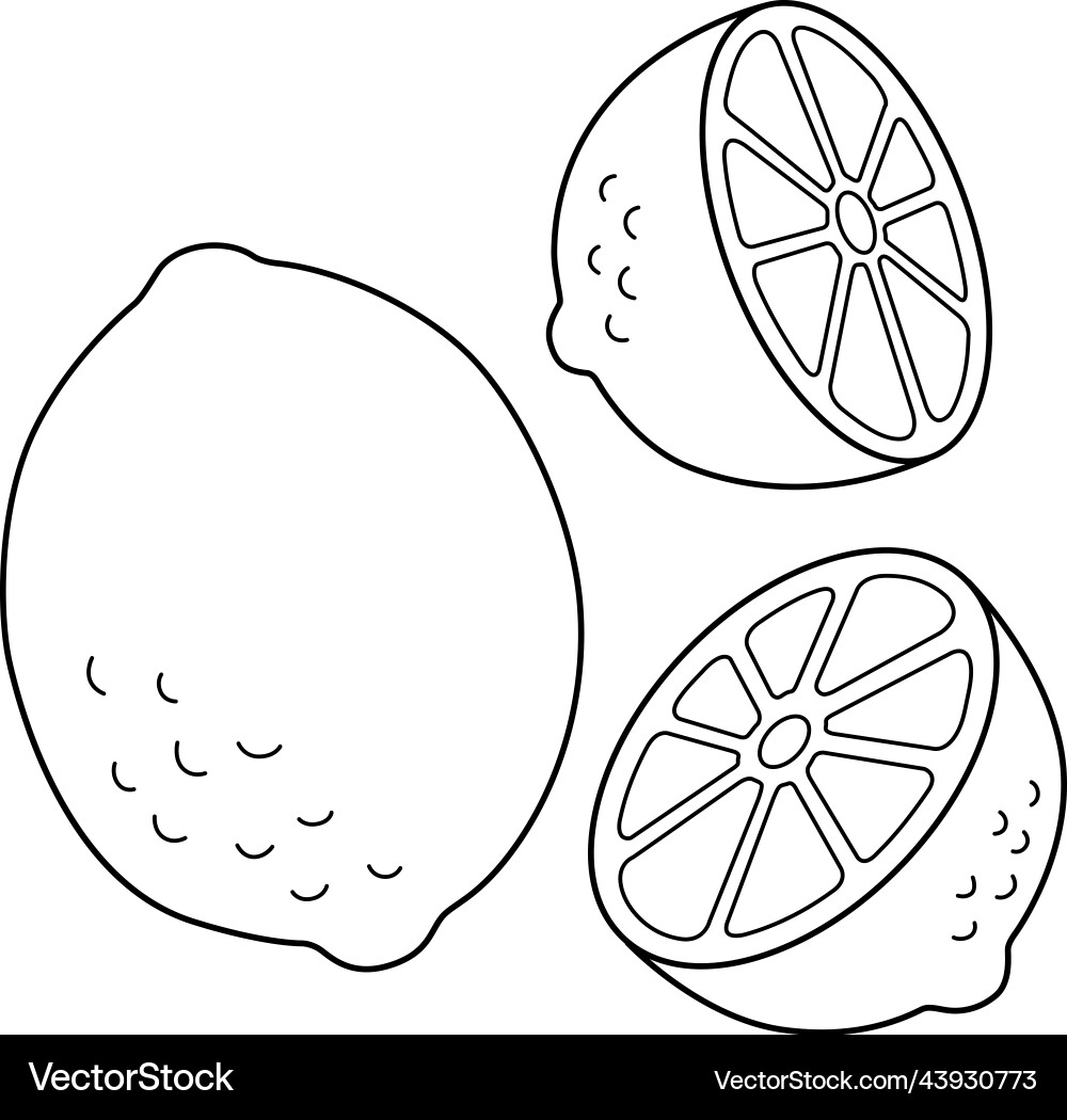 Lemon Fruit Isolated Coloring Page For Kids Vector Image