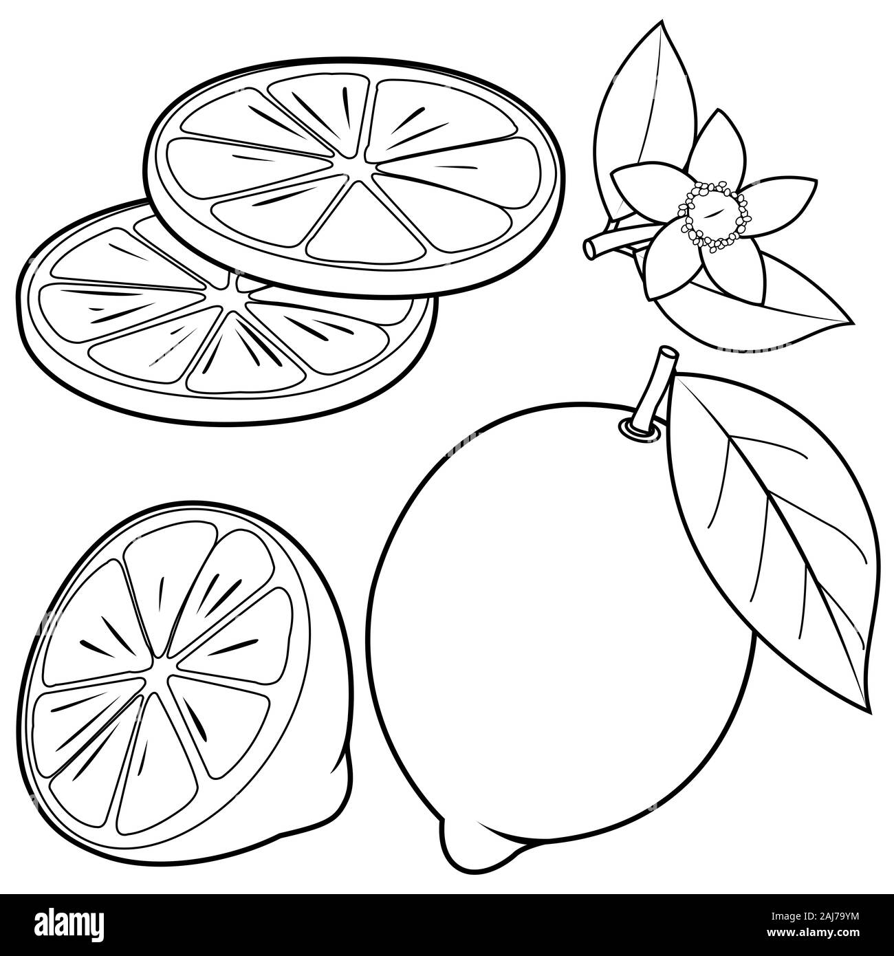 Lemon Illustration Coloring Book Hi res Stock Photography And Images Alamy