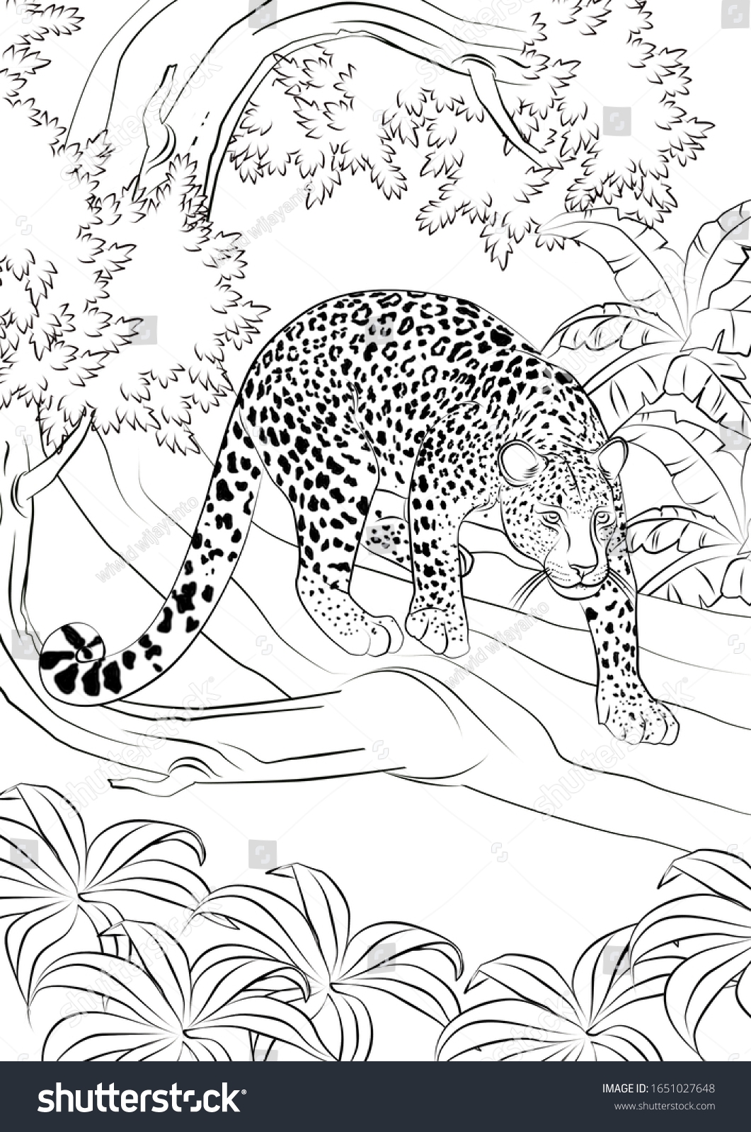coloring pages realistic animals