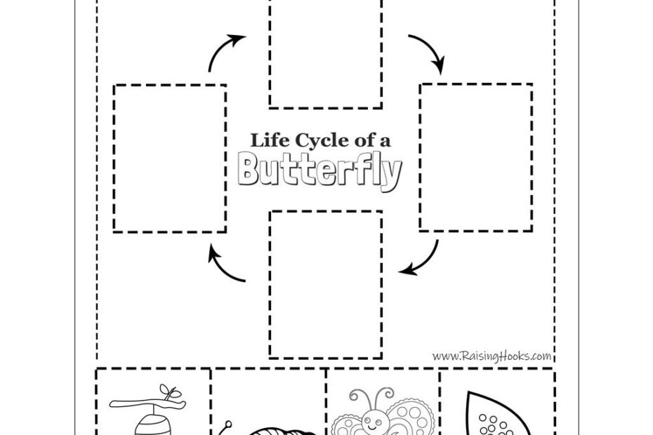 Life Cycle Of A Butterfly Cut And Paste Raising Hooks
