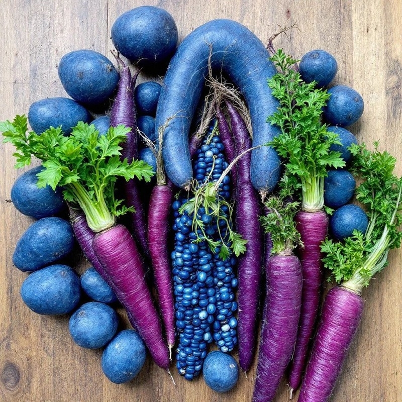 List Of 12 Blue Vegetables The Environmental Blog