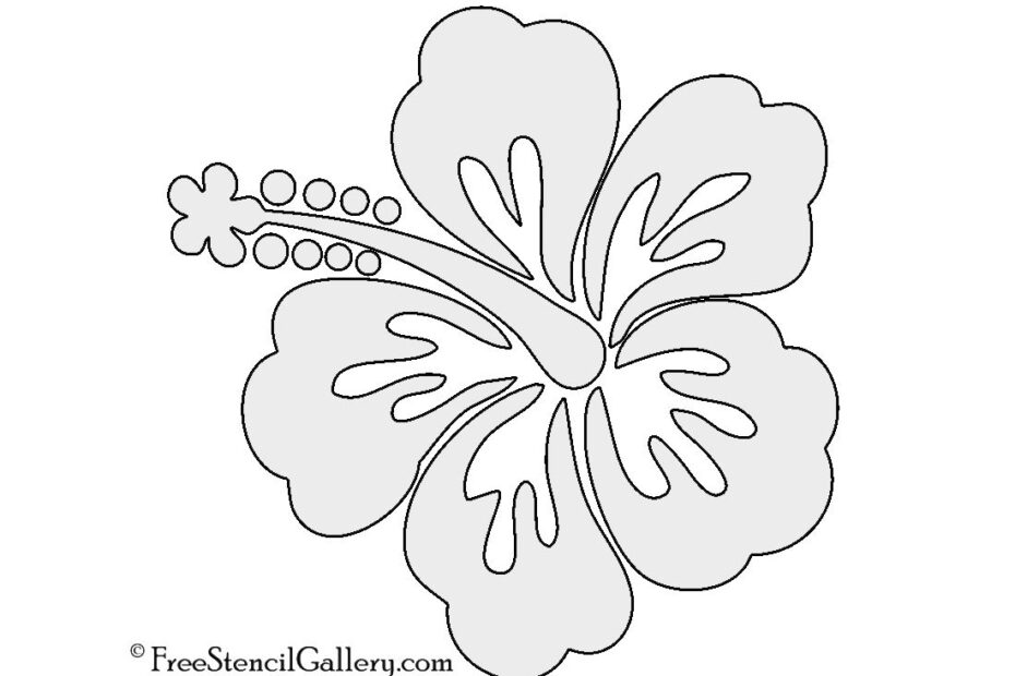 Luau Flower Template Hawaiian Flower Drawings In Pencil Gallery For 8D