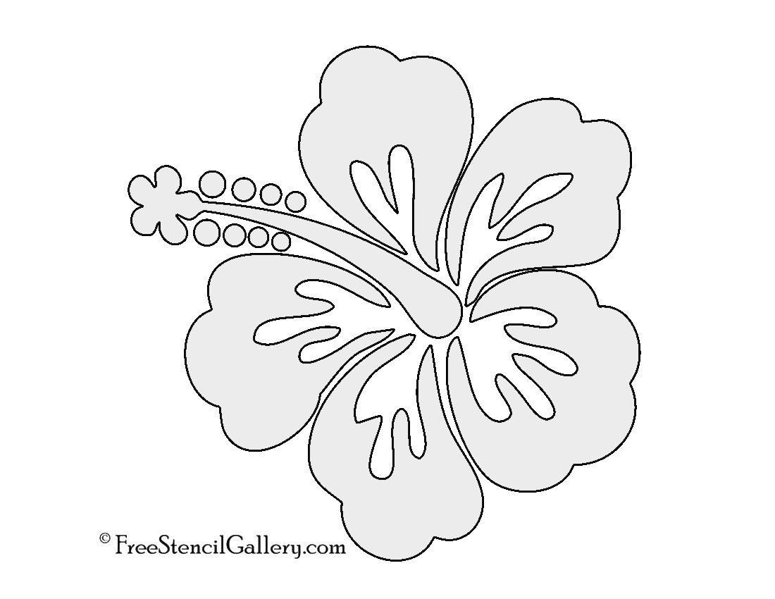 Luau Flower Template Hawaiian Flower Drawings In Pencil Gallery For 8D