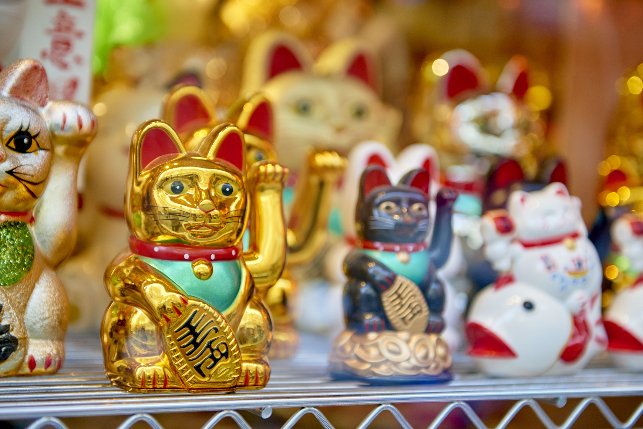 lucky cat color meanings