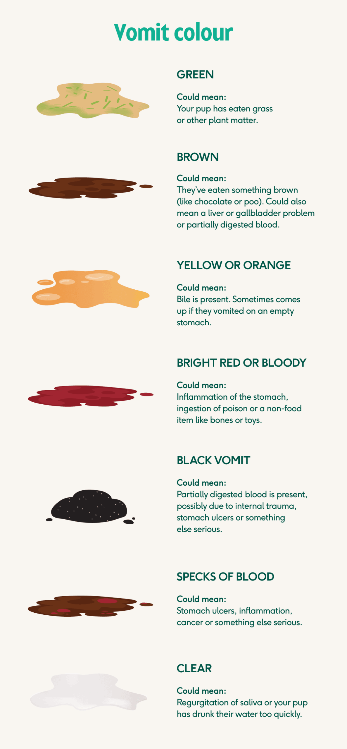 Lyka s Vet approved Dog Vomit Guide with Colour Charts Lyka Blog