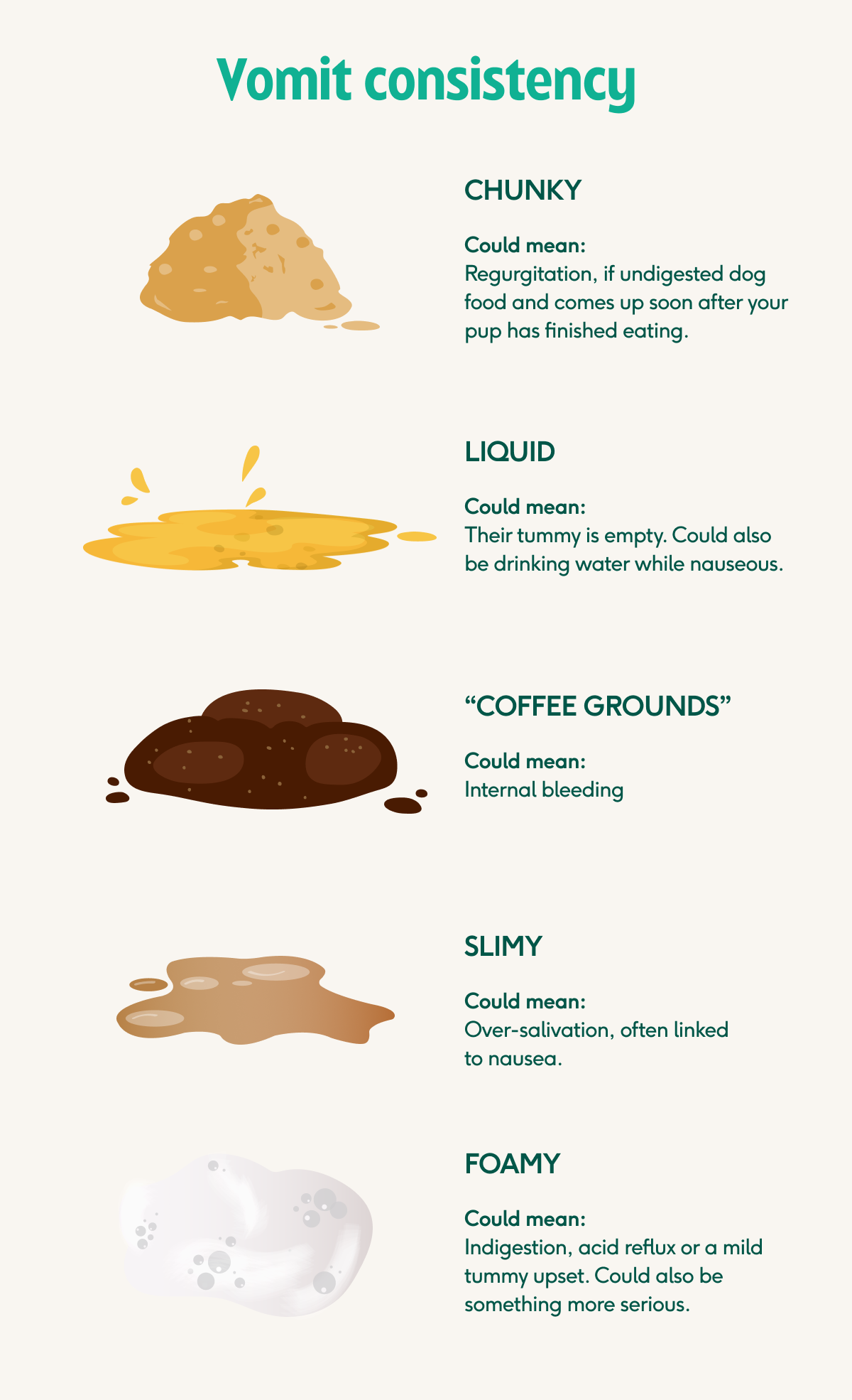 dog vomit color guide