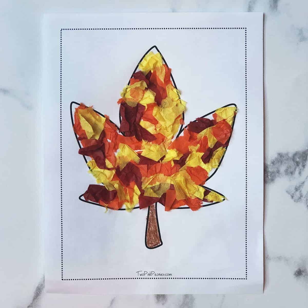 free printable maple leaf template