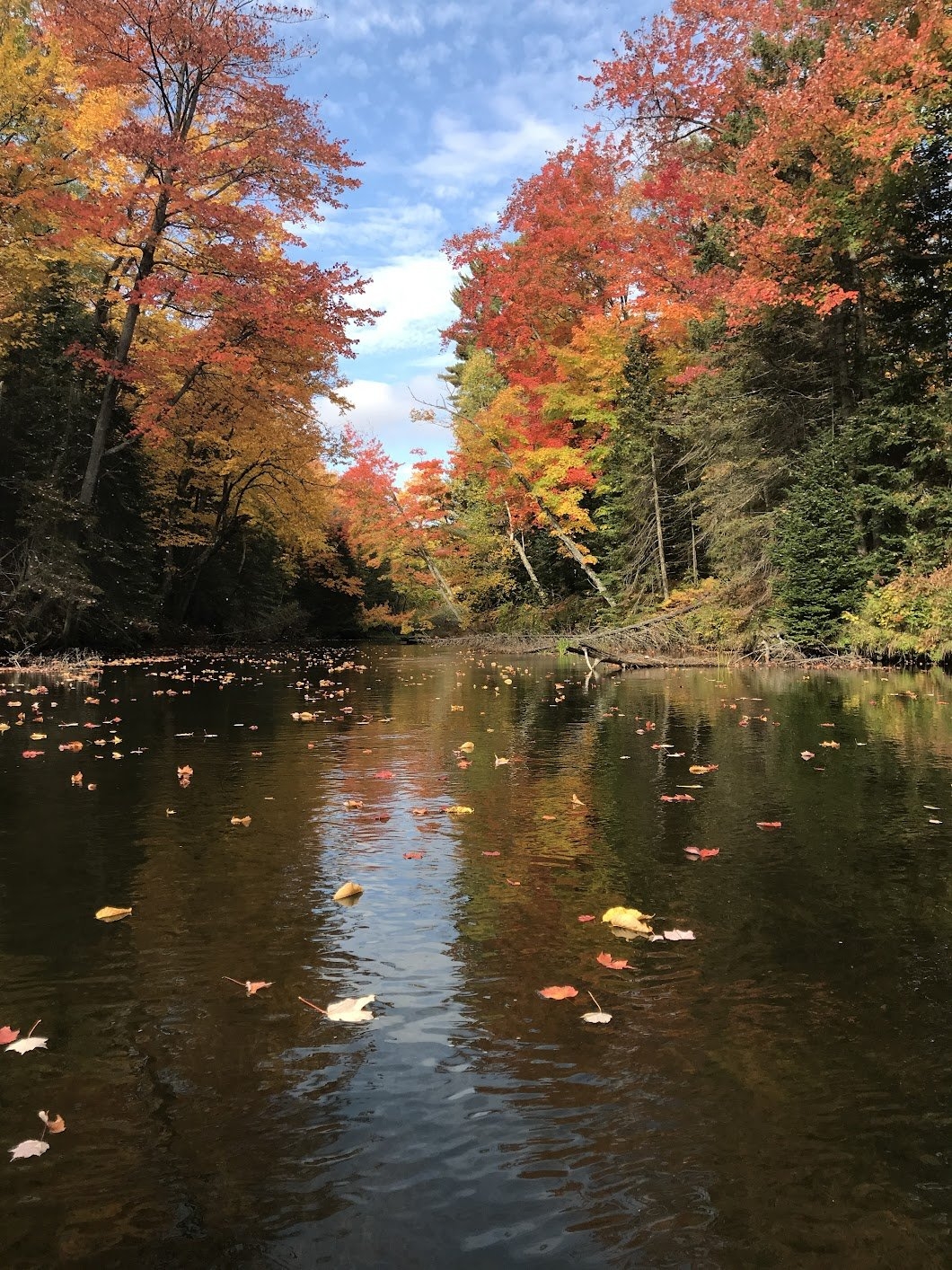 Marquette Michigan Fall Foliage Local s Guide Em s On The Road