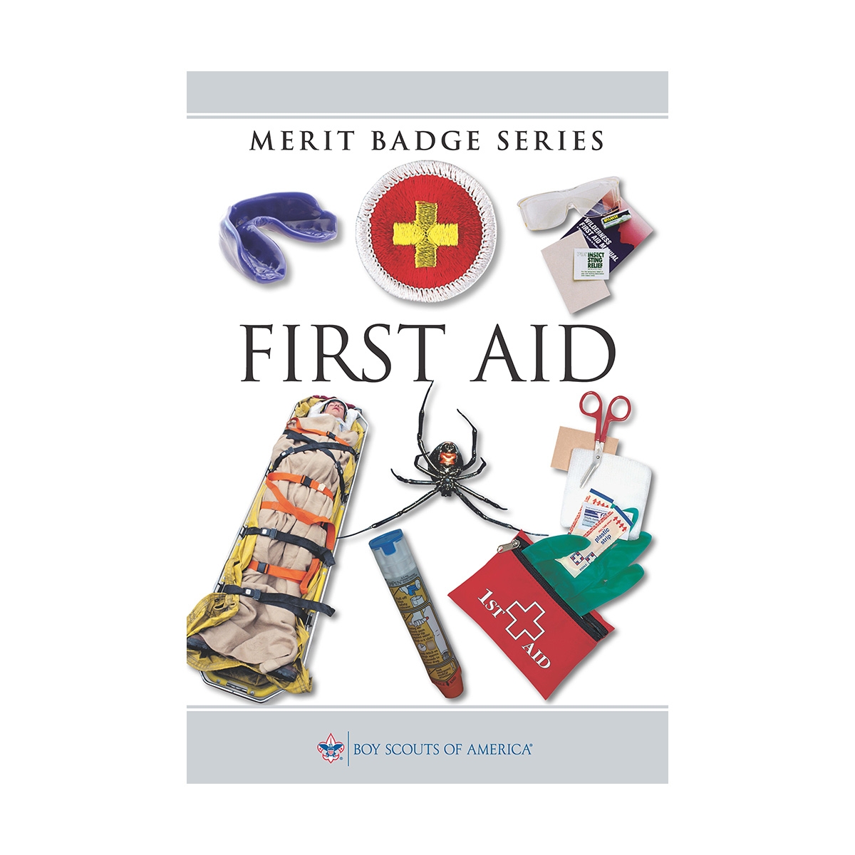 emergency preparedness merit badge worksheet