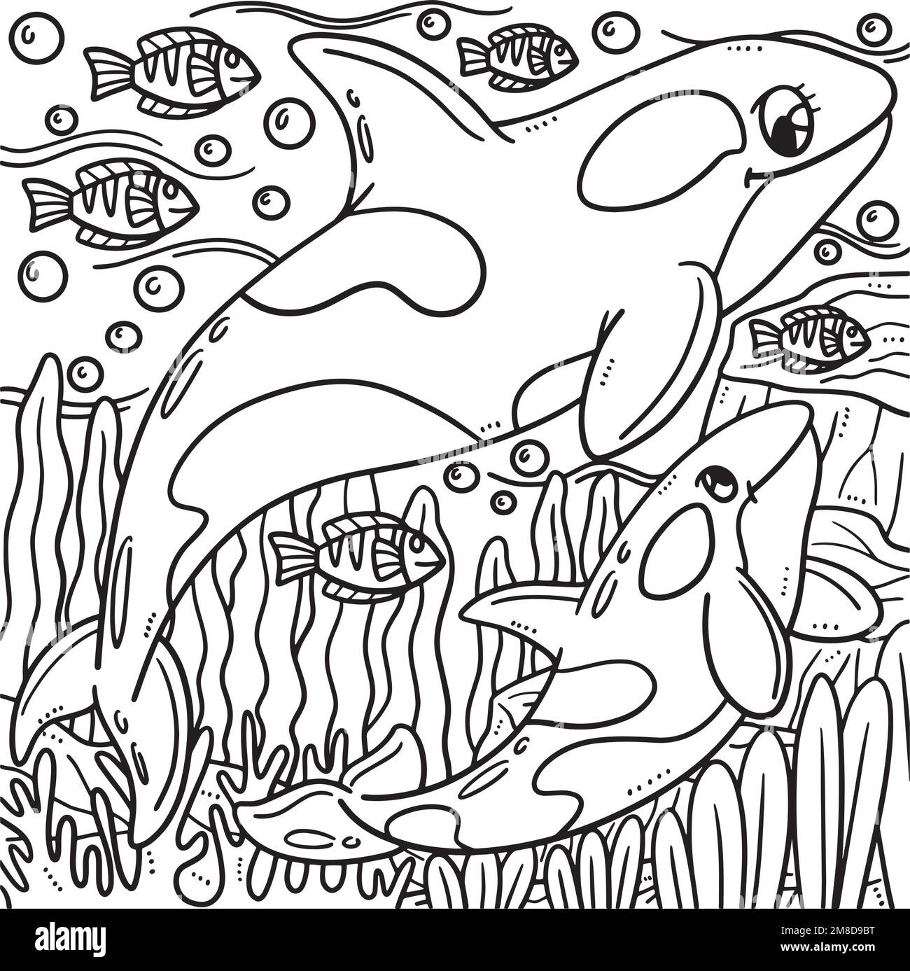 coloring whales