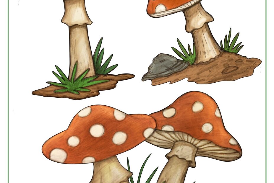 Mushroom Template Shapes For Preschool Art