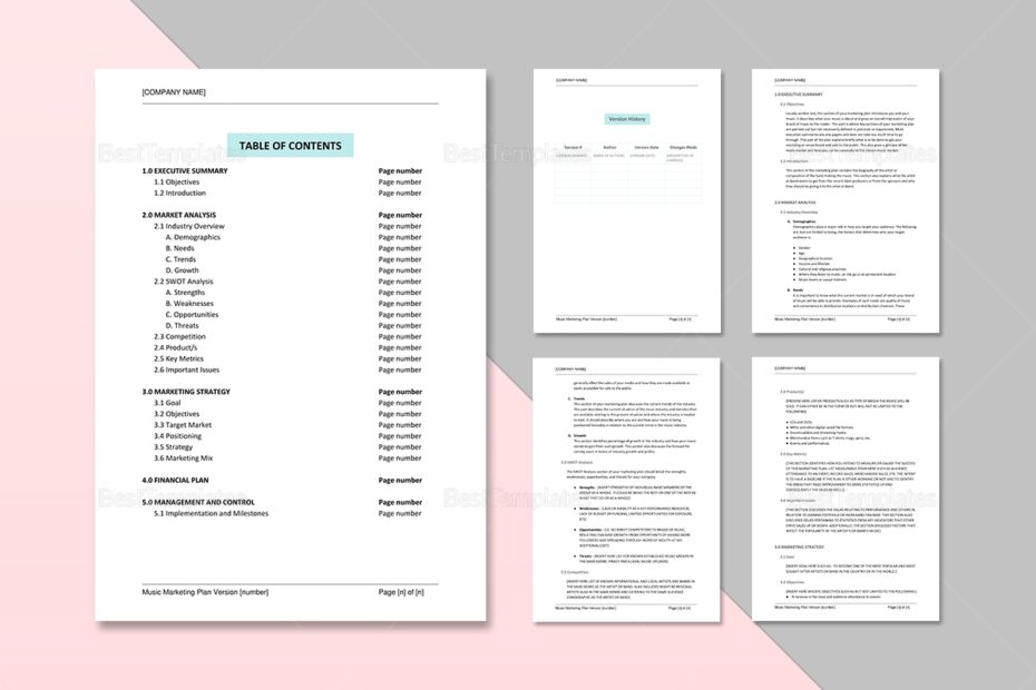 Music Marketing Plan Template In Word Google Docs Apple Pages