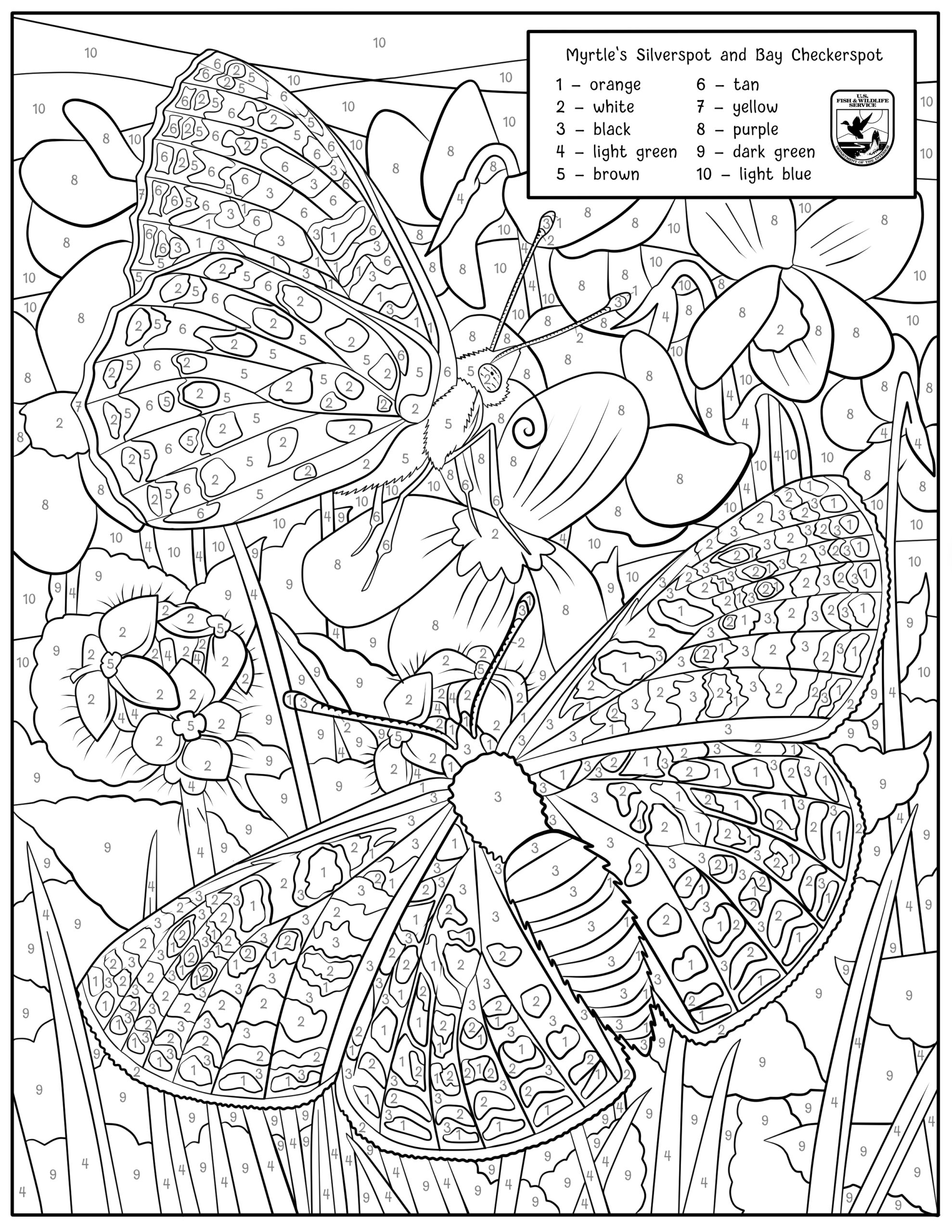 color by number for adults printable