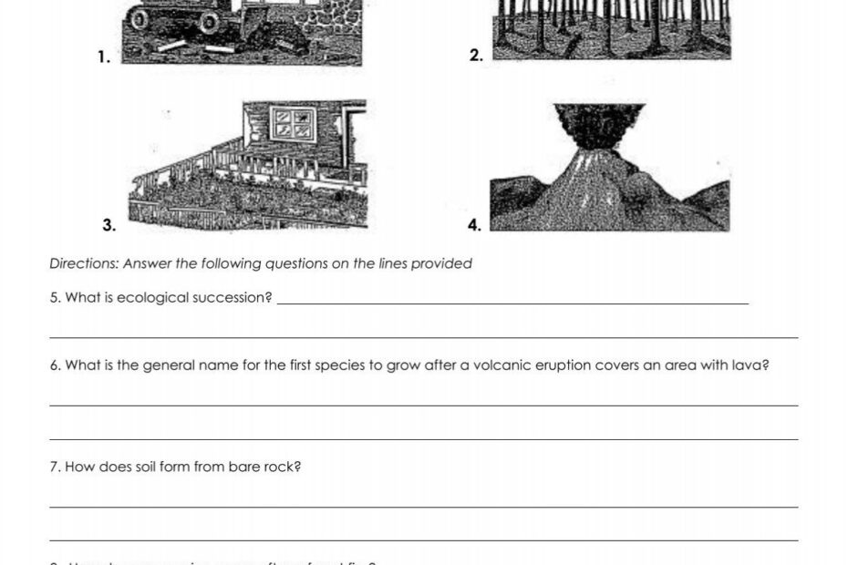 Name Due Date Directions What Kind Of Ecological Succession