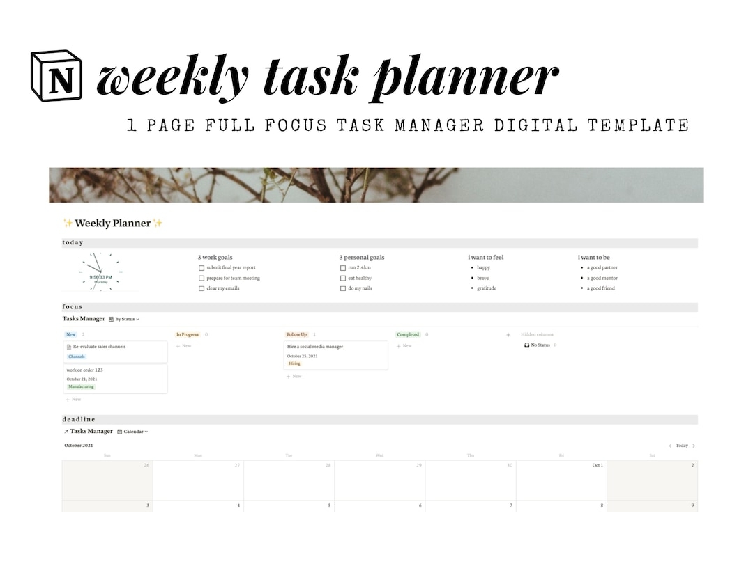 weekly plan notion template