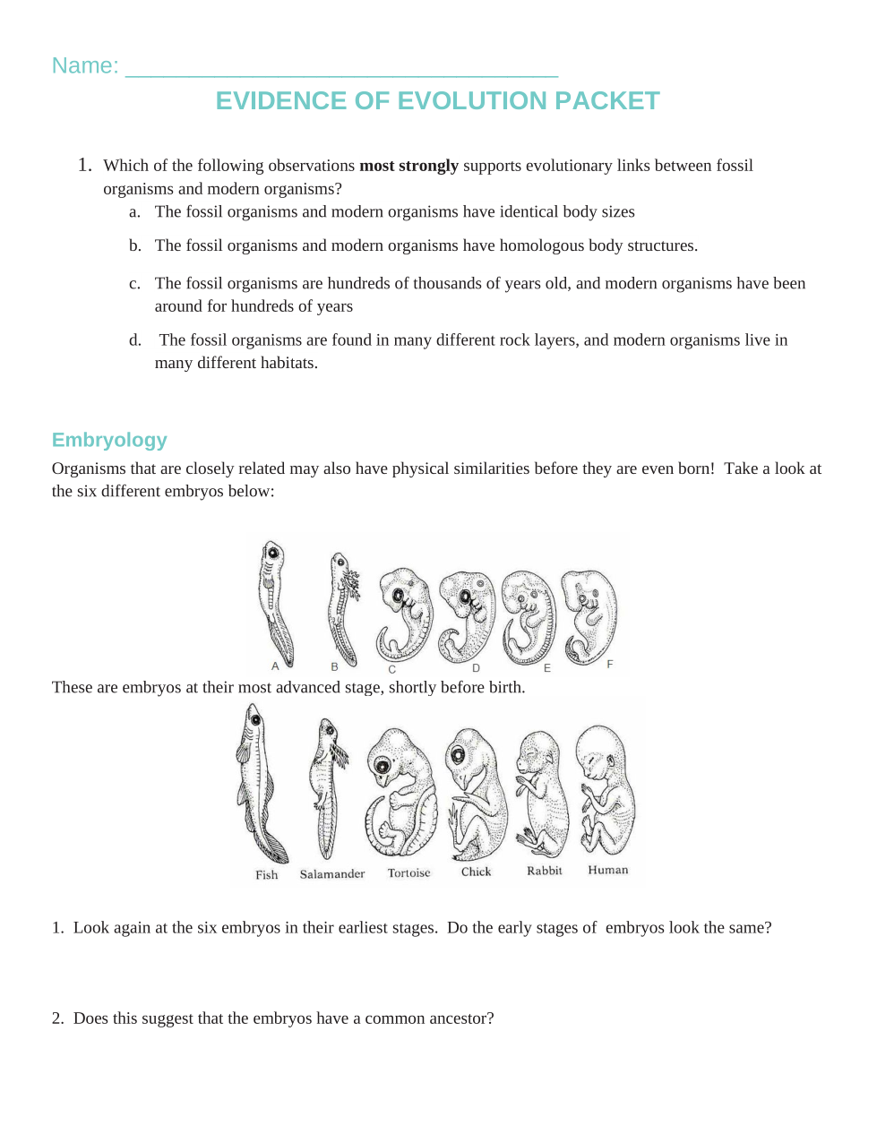 OPSC Evidence Of Evolution Worksheet Katelyn Owens Library 