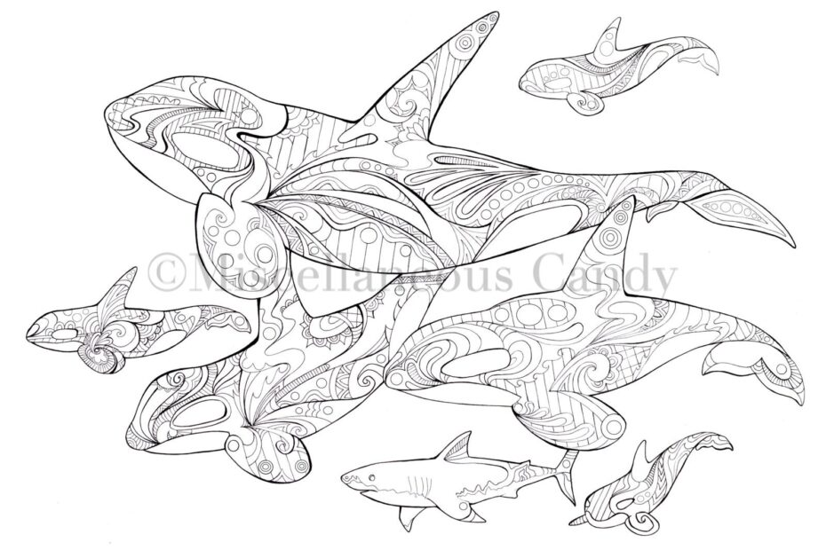 Orca Pod Coloring Sheet
