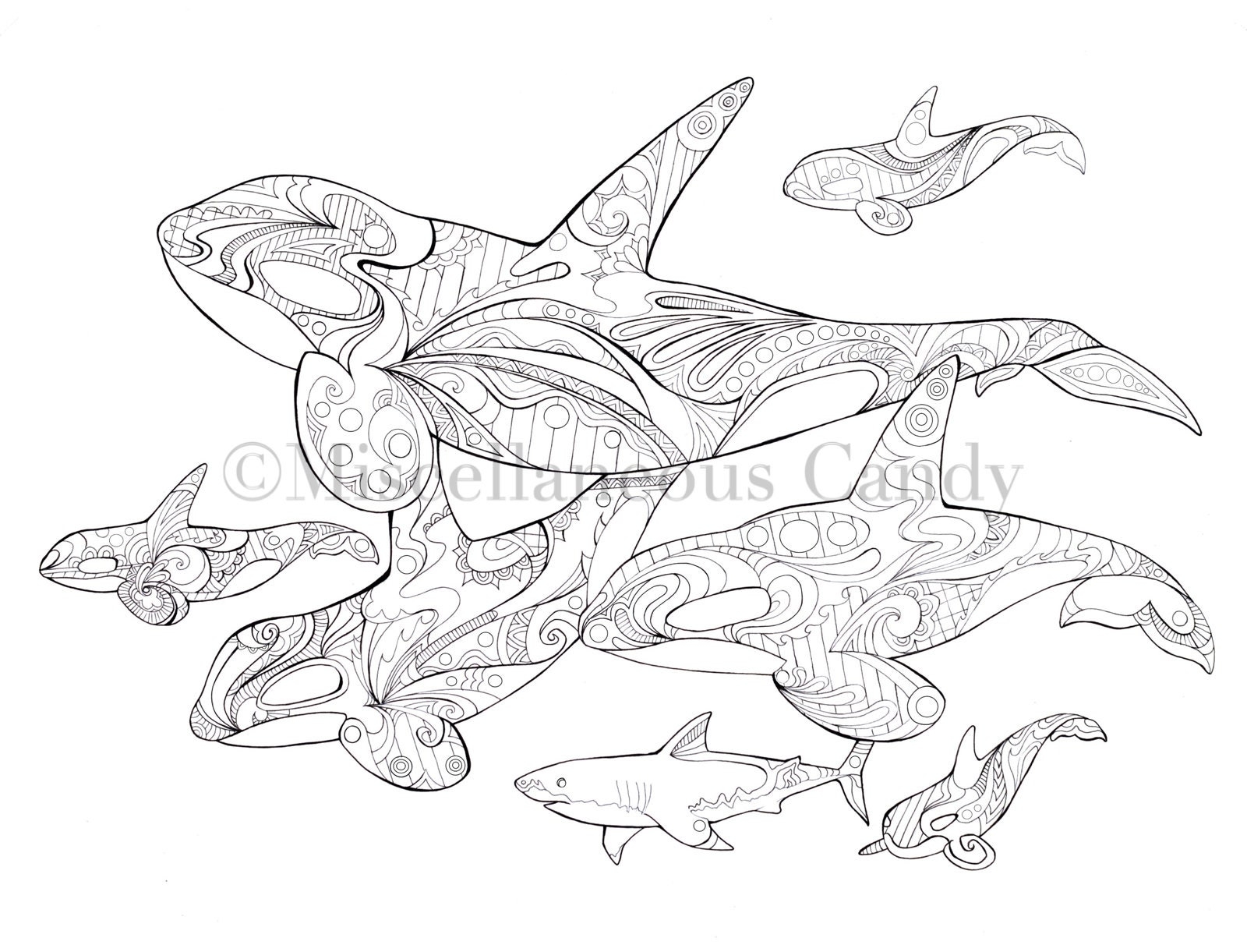 Orca Pod Coloring Sheet