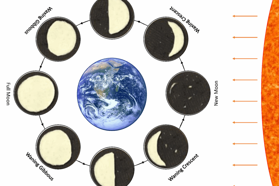 Oreo Moon Phase Activity STEM Supplies