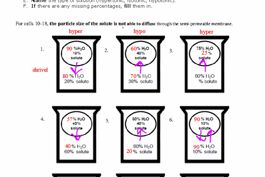 Osmosis And Diffusion Name Date Period Studocu