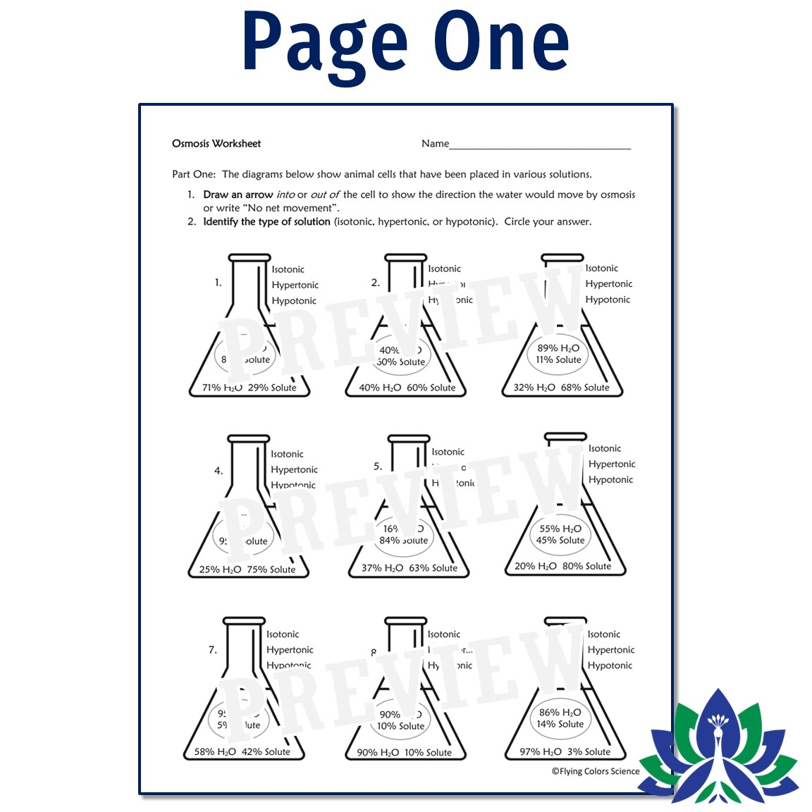Osmosis Worksheet Flying Colors Science