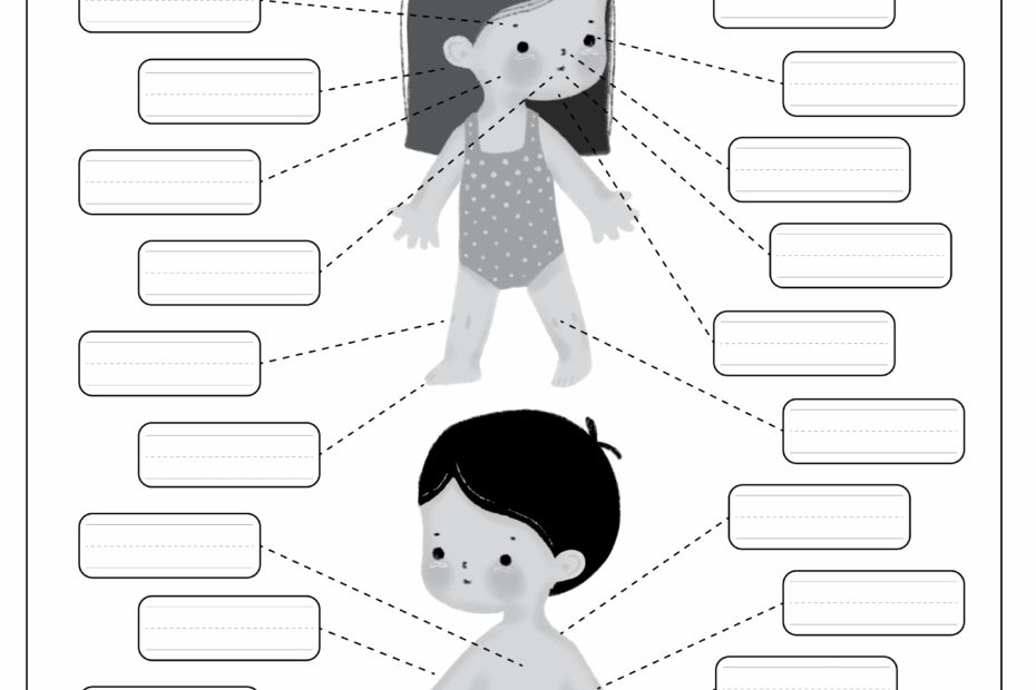 Parts Of The Body Free Worksheet SKOOLGO