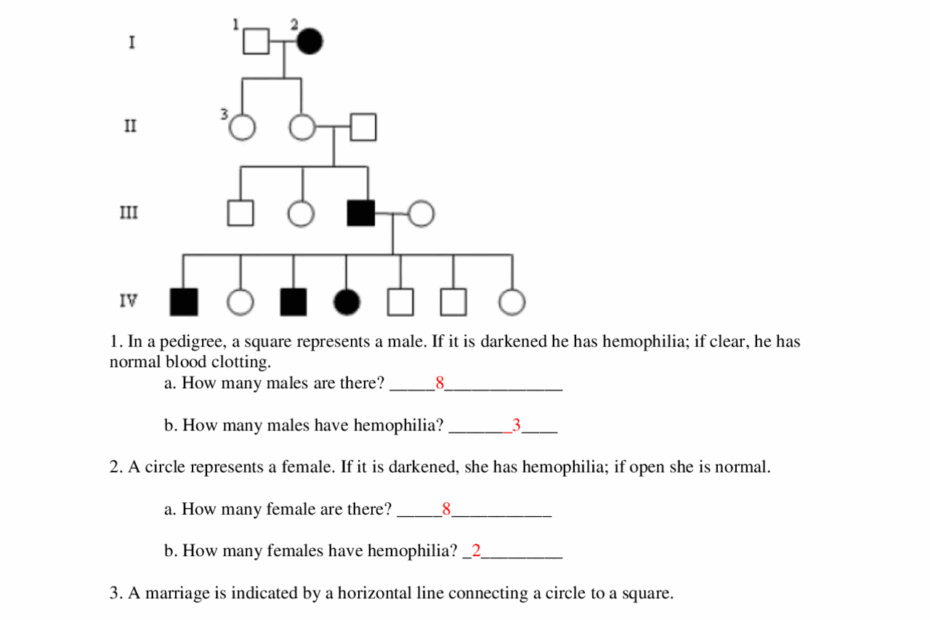 Pedigree Worksheet With Answer Key Exercises Genetics Docsity