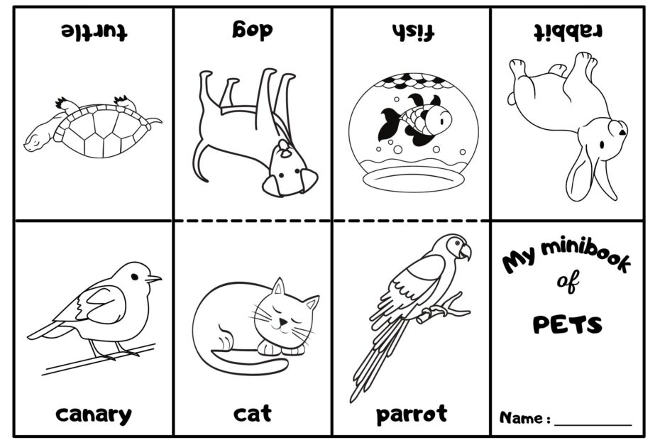 Pets Mini Coloring Book Ezpzlearn