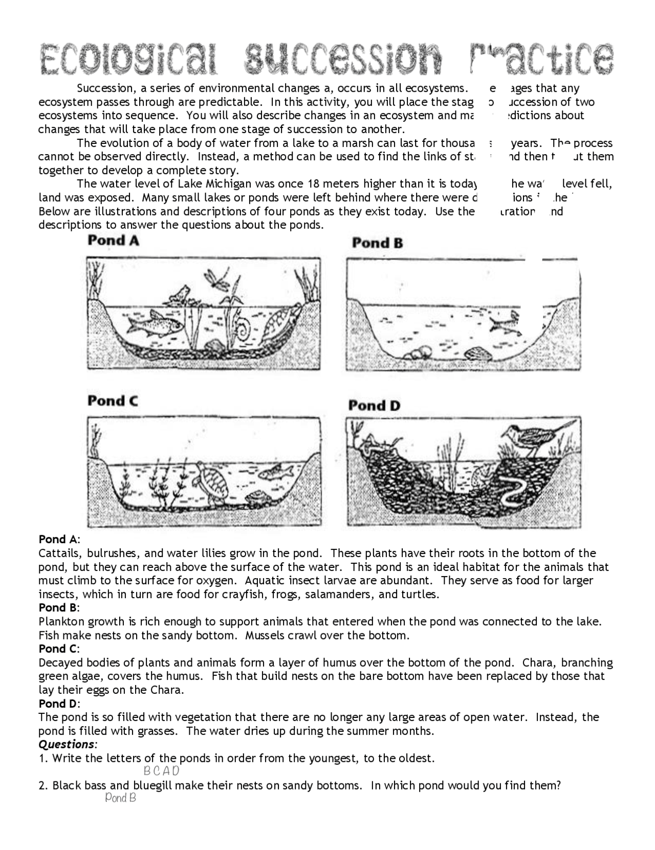 Population Succession Ecology Worksheet Answer Key Exercises 