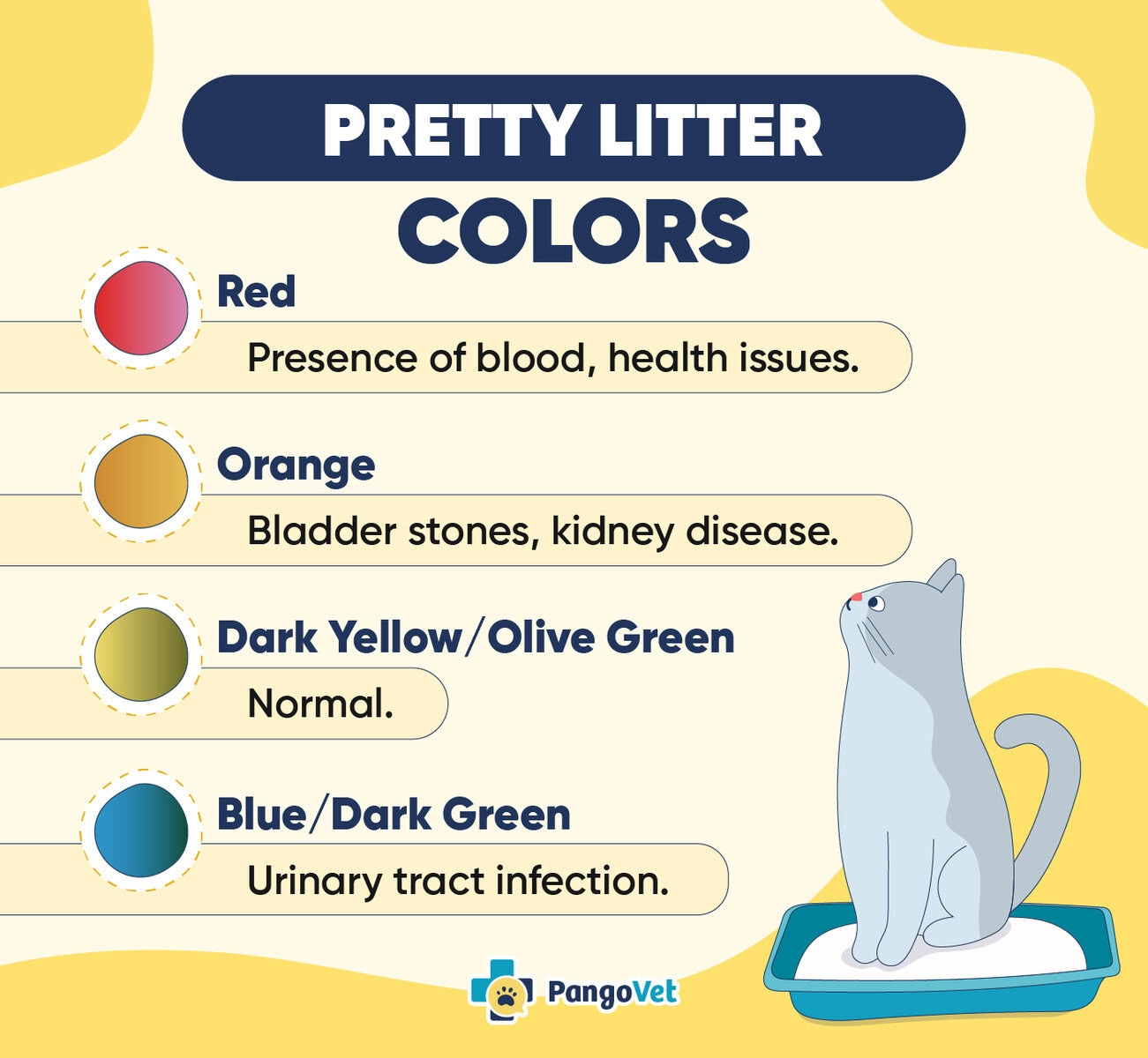Pretty Litter Colors How To Monitor Your Cat s Health With Infographic PangoVet
