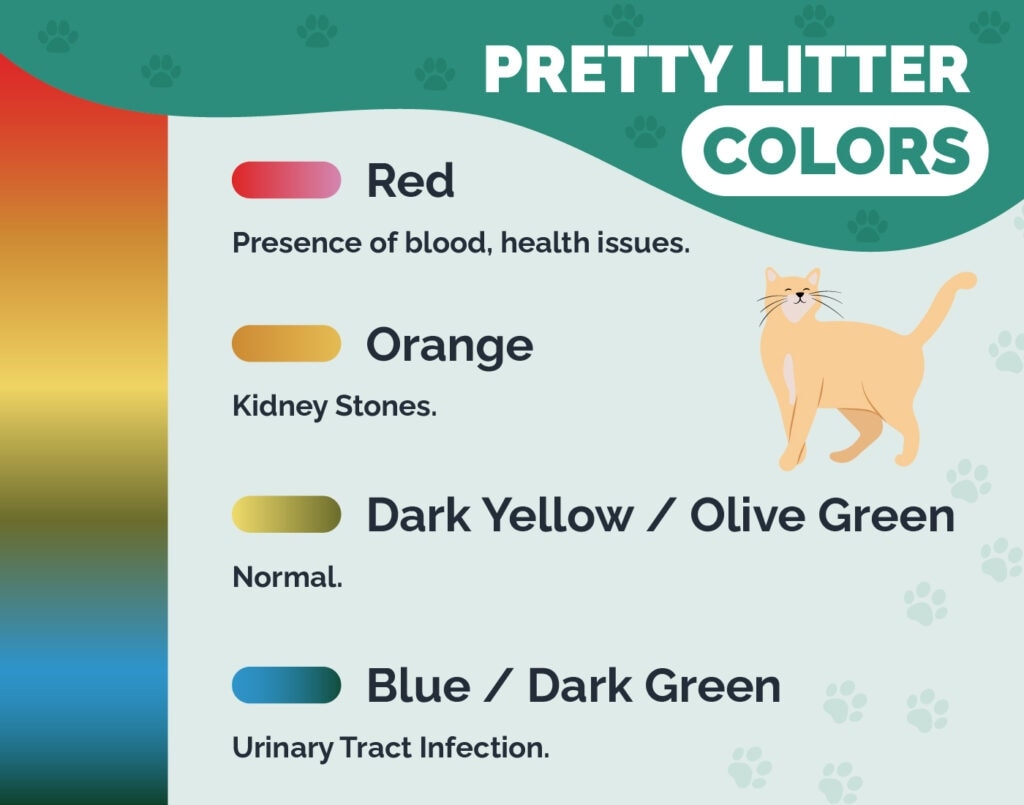 Pretty Litter Colors What Do They Mean With Color Chart Hepper Pet Resources