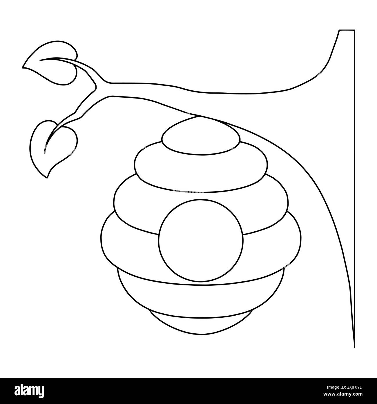 Printable Beehive Coloring Page Cut Out Stock Images U0026 Pictures 