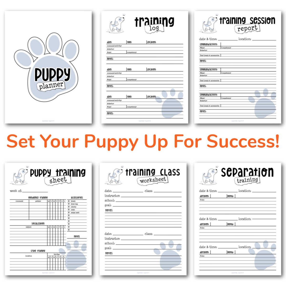 dog training plan template