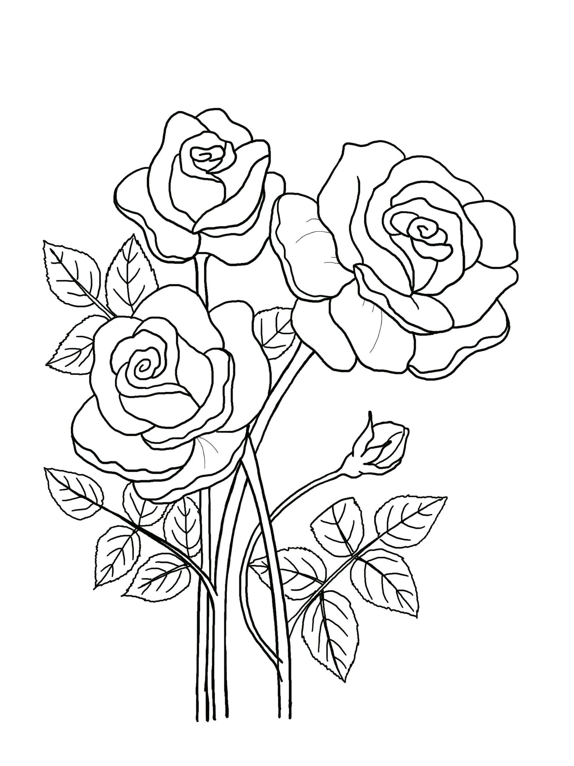 picture of a flower to color