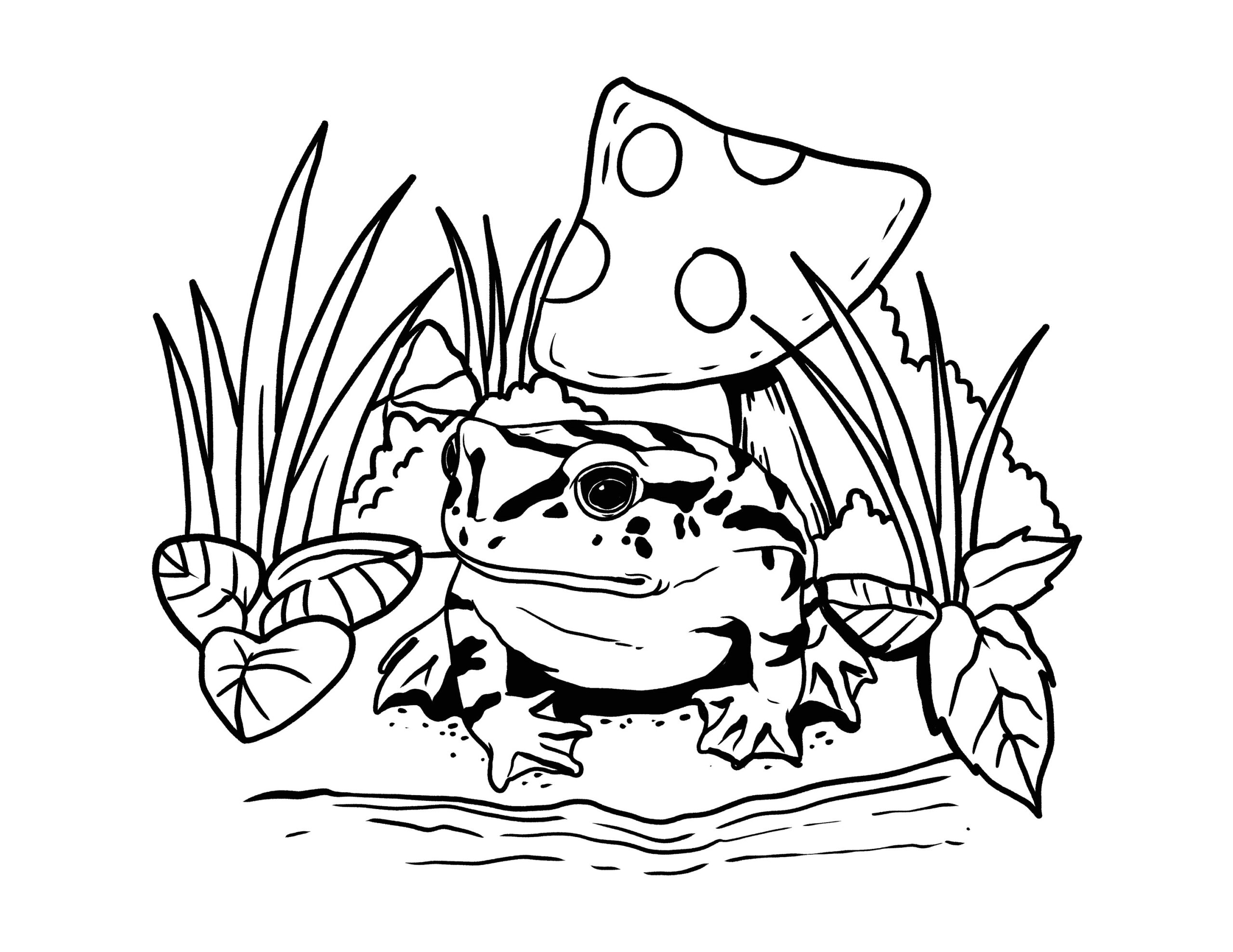 Printable Mushroom And Frog Coloring Page Frogs Lovers Digital Download Spring Coloring Instant PDF