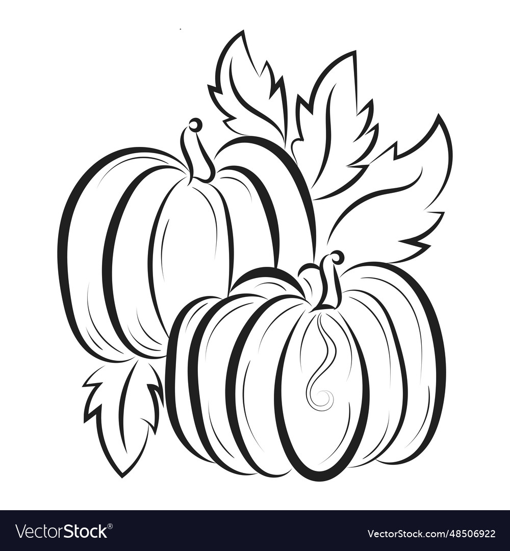 printable coloring pumpkins