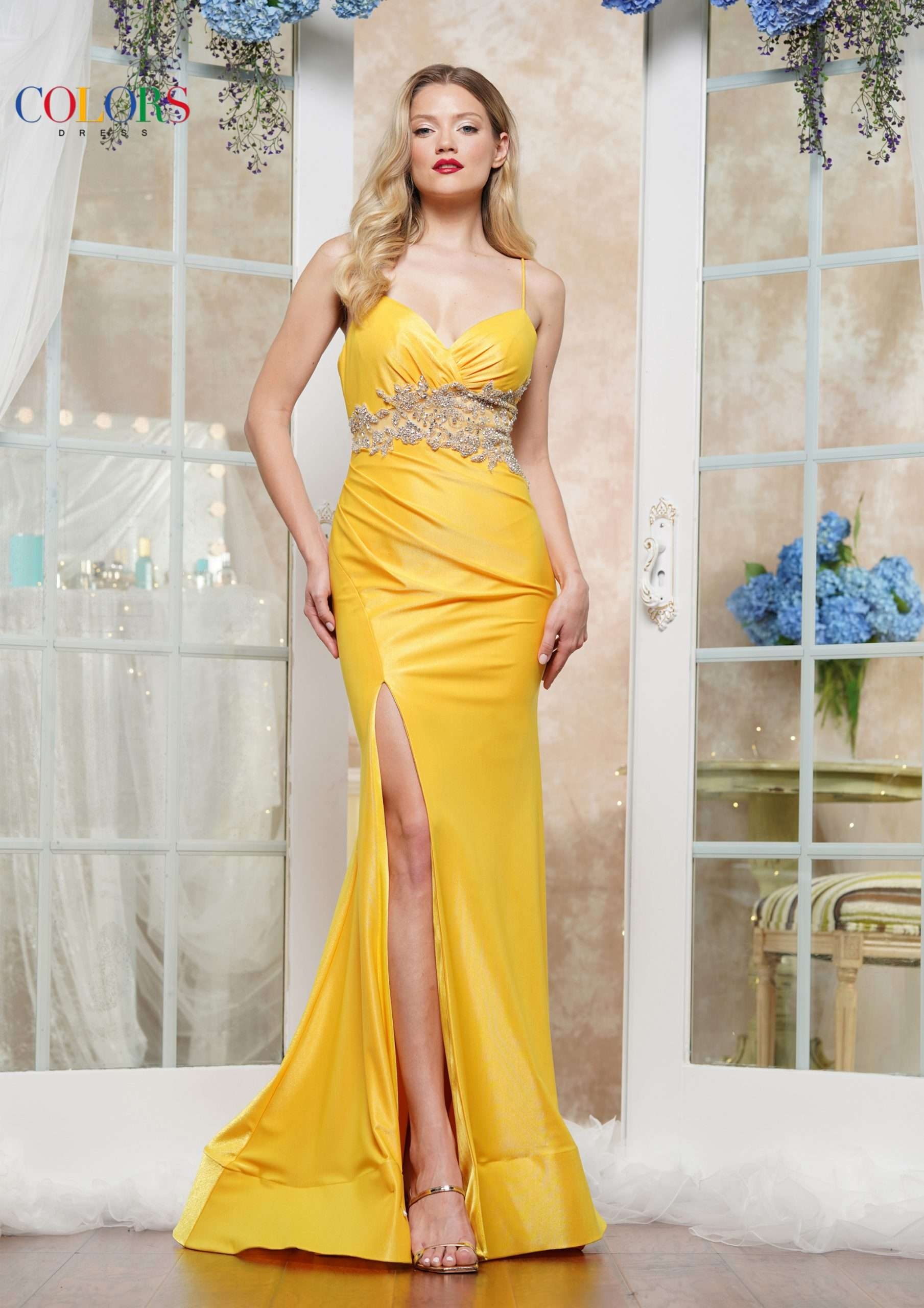 Prom Dress Colors Dress