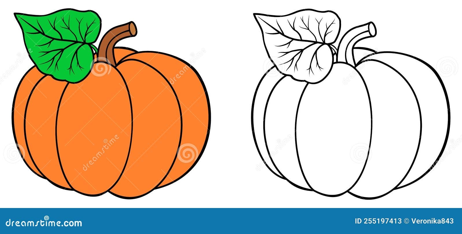 Pumpkin Coloring Book Colored And Outline Vector Illustration Isolated On White Background Stock Vector Illustration Of Book October 255197413