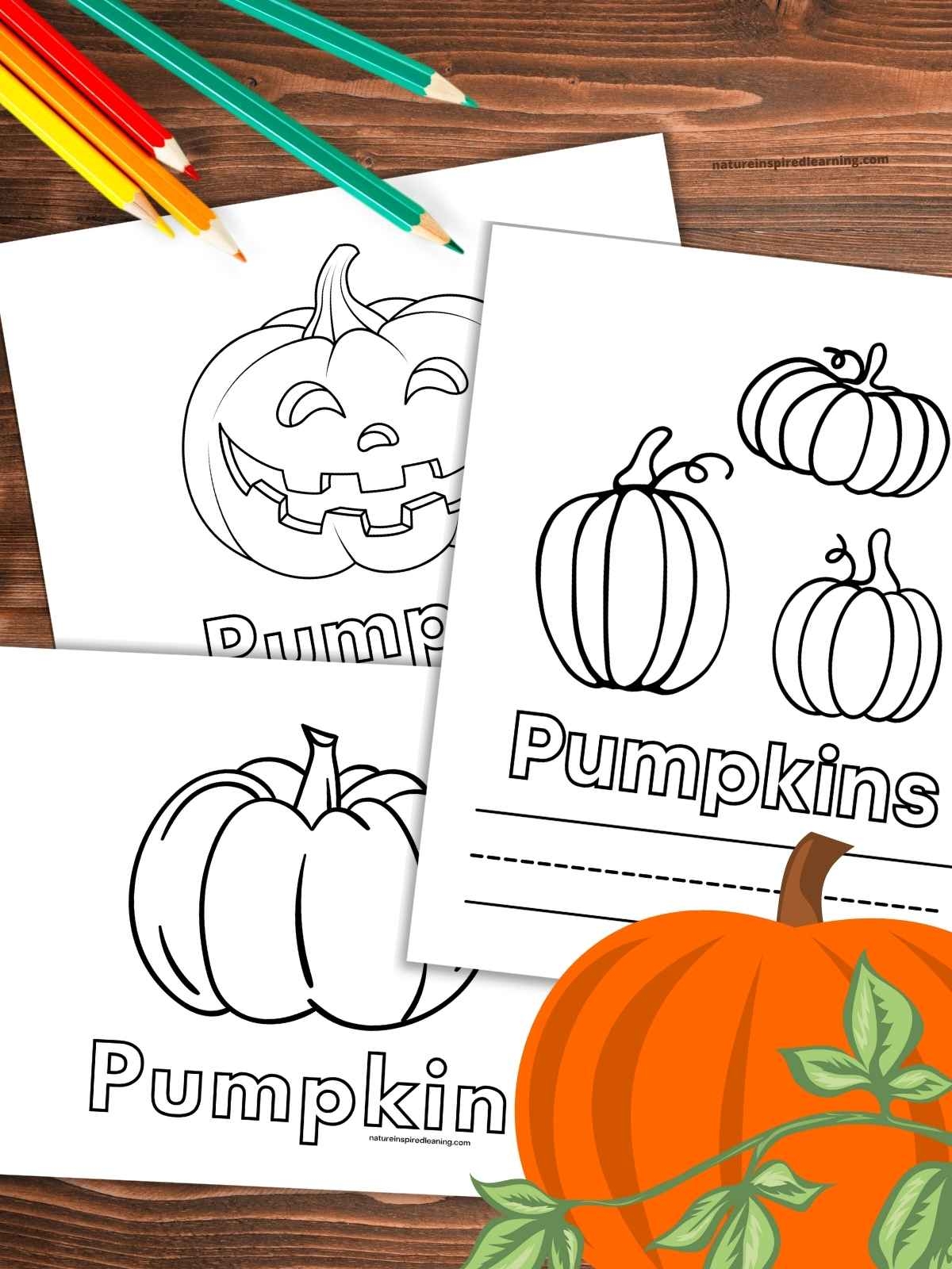coloring pictures of pumpkins